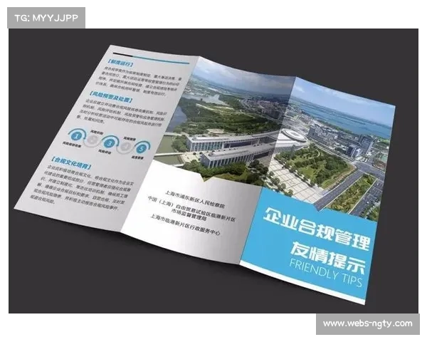 跨境内容分发合规性审查加强 平台建立专项审核机制